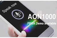 AON1000